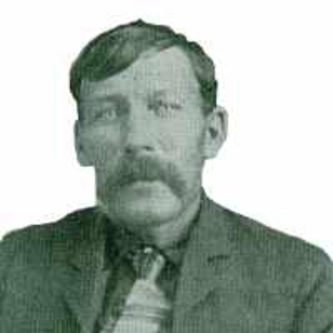 Henry Mower Jr. (1824 - 1902) Profile